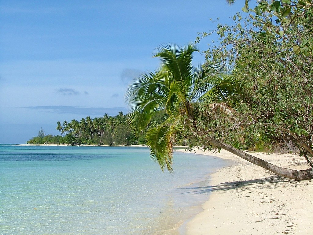 Blue Lagoon Beach on a Fiji island featuring soft white sand, leaning palm trees, and clear turquoise waters under a bright blue sky—a serene and picturesque South Pacific escape.