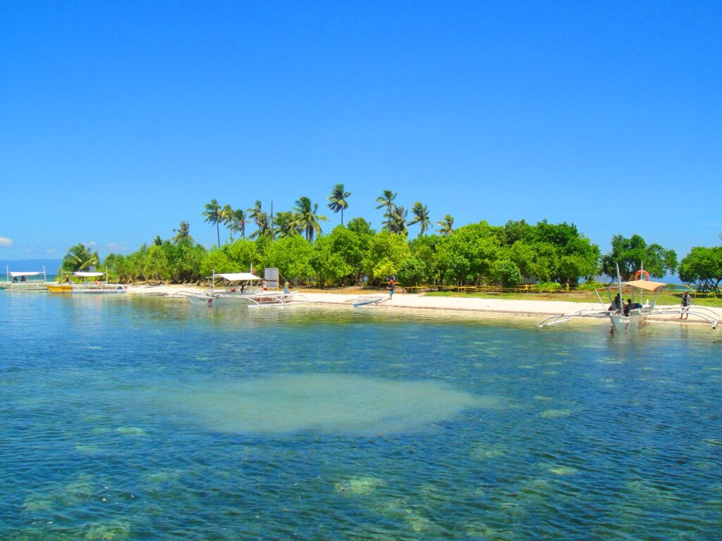 A vibrant tropical beach on Panglao Island, Bohol, Philippines, with clear blue water, white sand, palm trees, and traditional outrigger boats (bangkas) anchored along the shoreline under a bright blue sky.