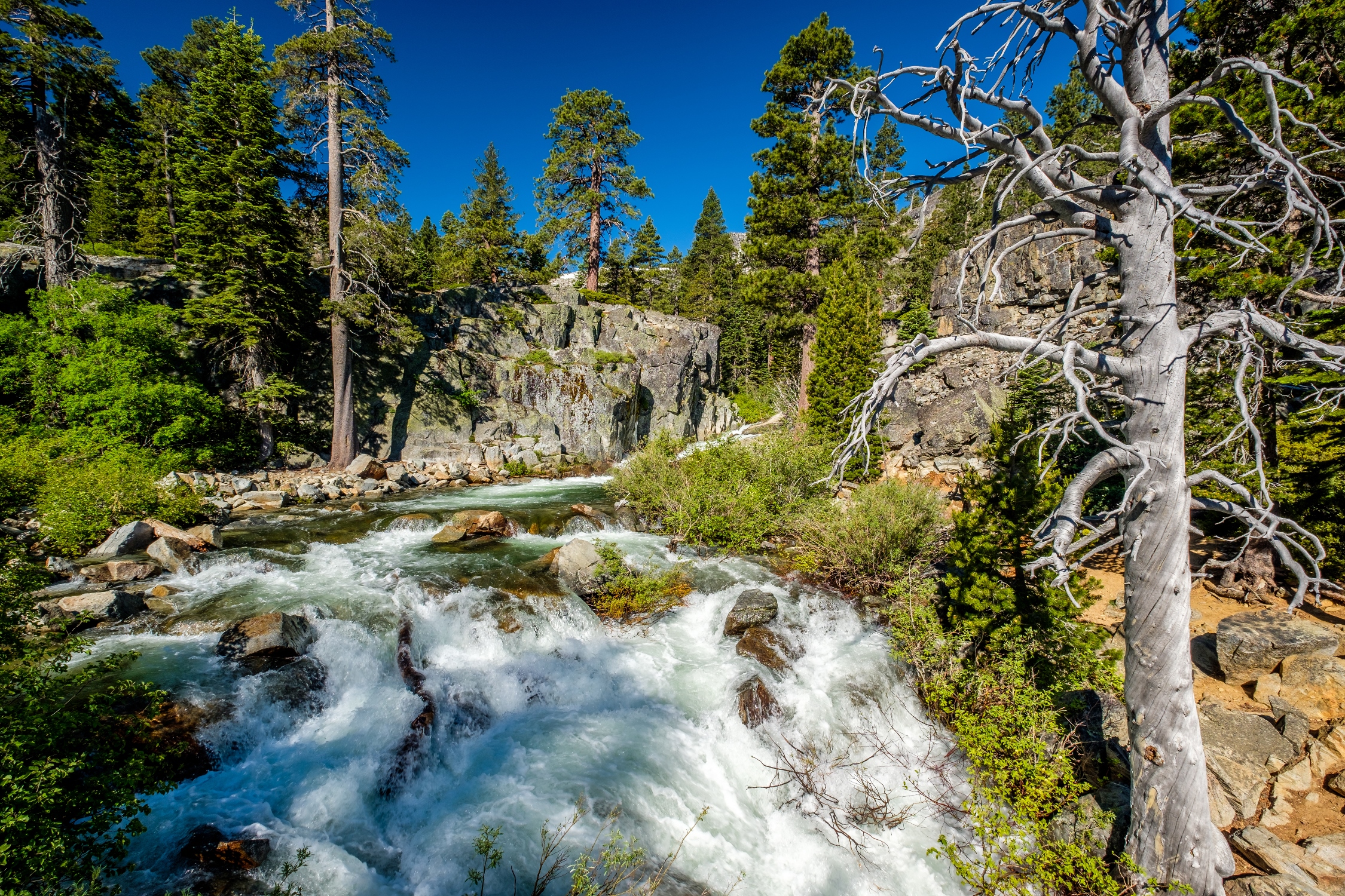 Eagle Falls cascading over rocky terrain surrounded by pine trees and granite cliffs in Lake Tahoe, California, under a clear blue sky.