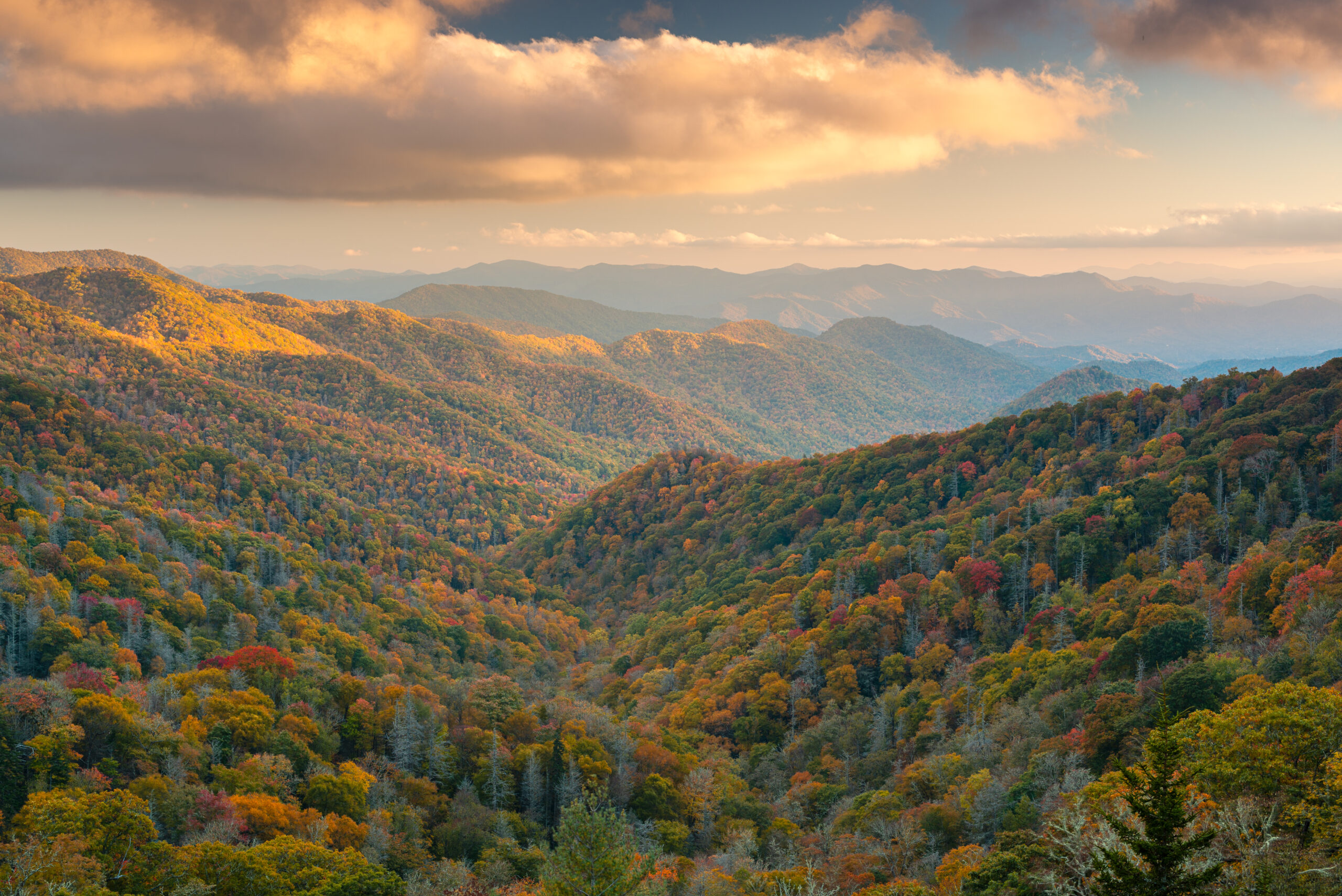 Scenic view of the Great Smoky Mountains National Park in Tennessee, with rolling forested hills and vibrant fall foliage under a glowing sunset sky.