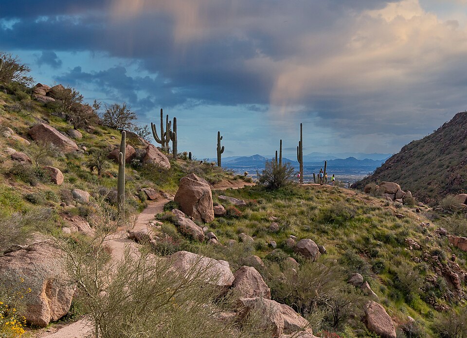 Scenic desert trail on Pinnacle Peak in Scottsdale, Arizona, with rocky terrain, saguaro cacti, hikers, and a view of mountains under a moody sky.