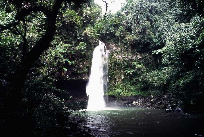 Secluded jungle waterfall cascading into a tranquil pool on Taveuni Island, Fiji – Travel Crock