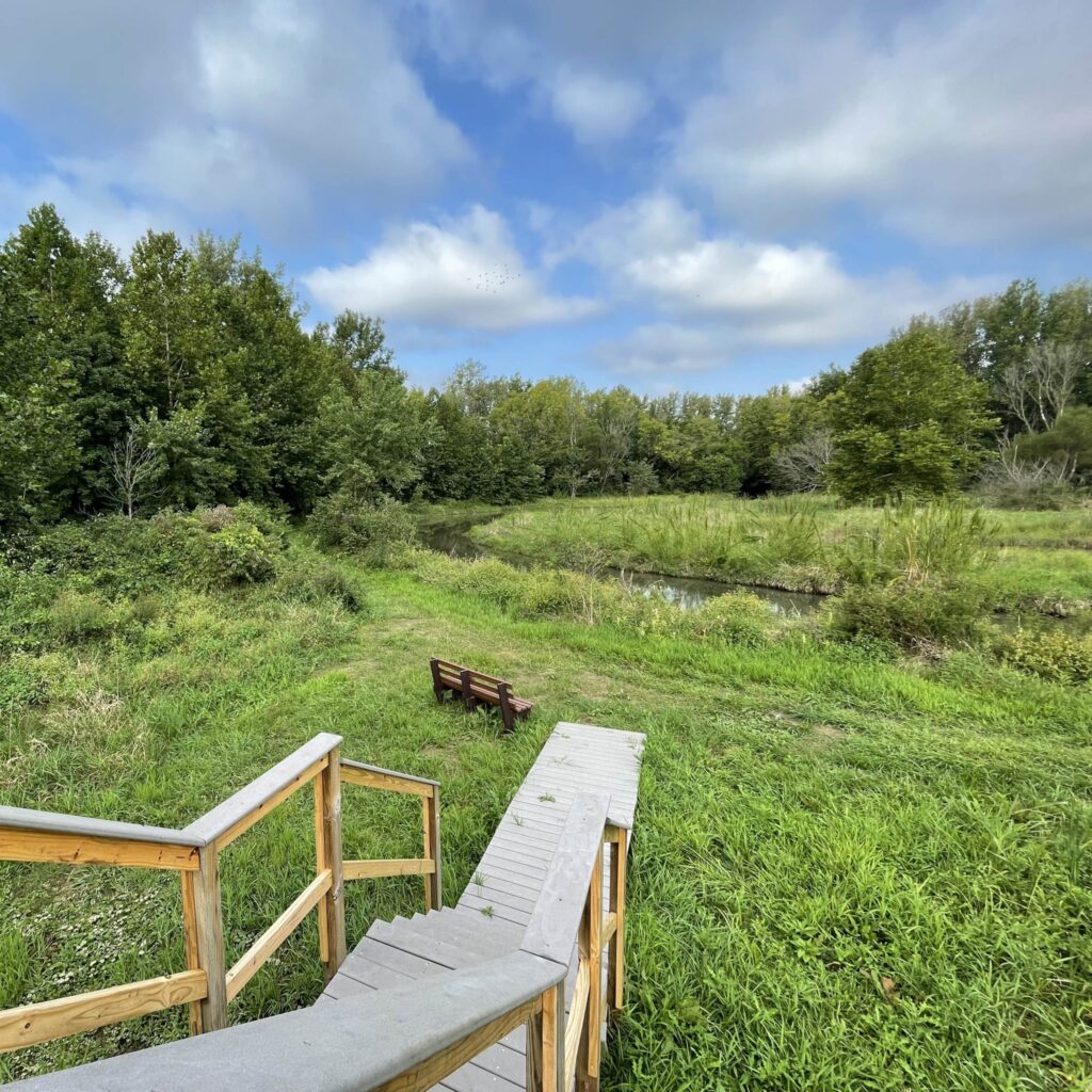 Wooden stairs and bench overlooking a calm river surrounded by lush green grass, trees, and cloudy blue skies