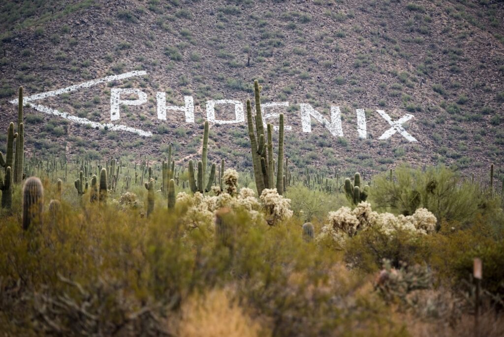 Desert landscape with saguaro cacti and a large rock-formed sign that reads “PHOENIX” on a hillside, pointing the way to Phoenix, Arizona.